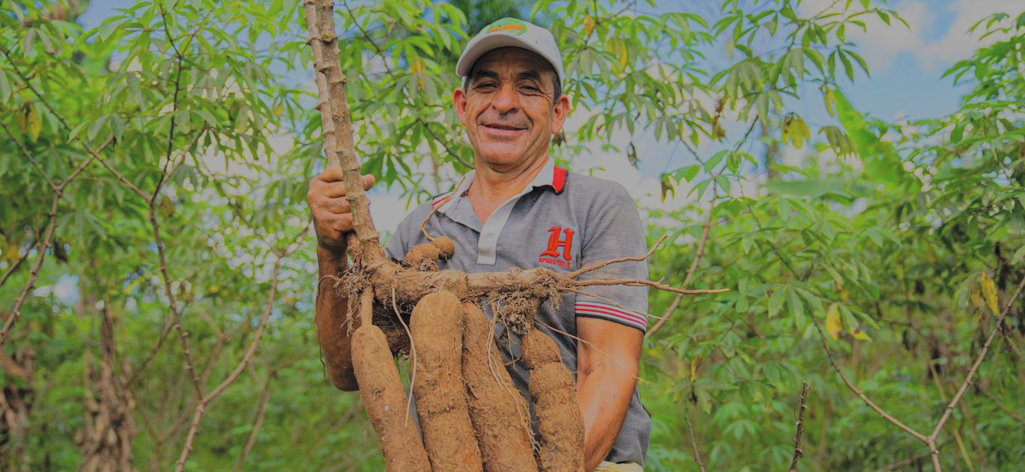Agricultura y Desarrollo Rural